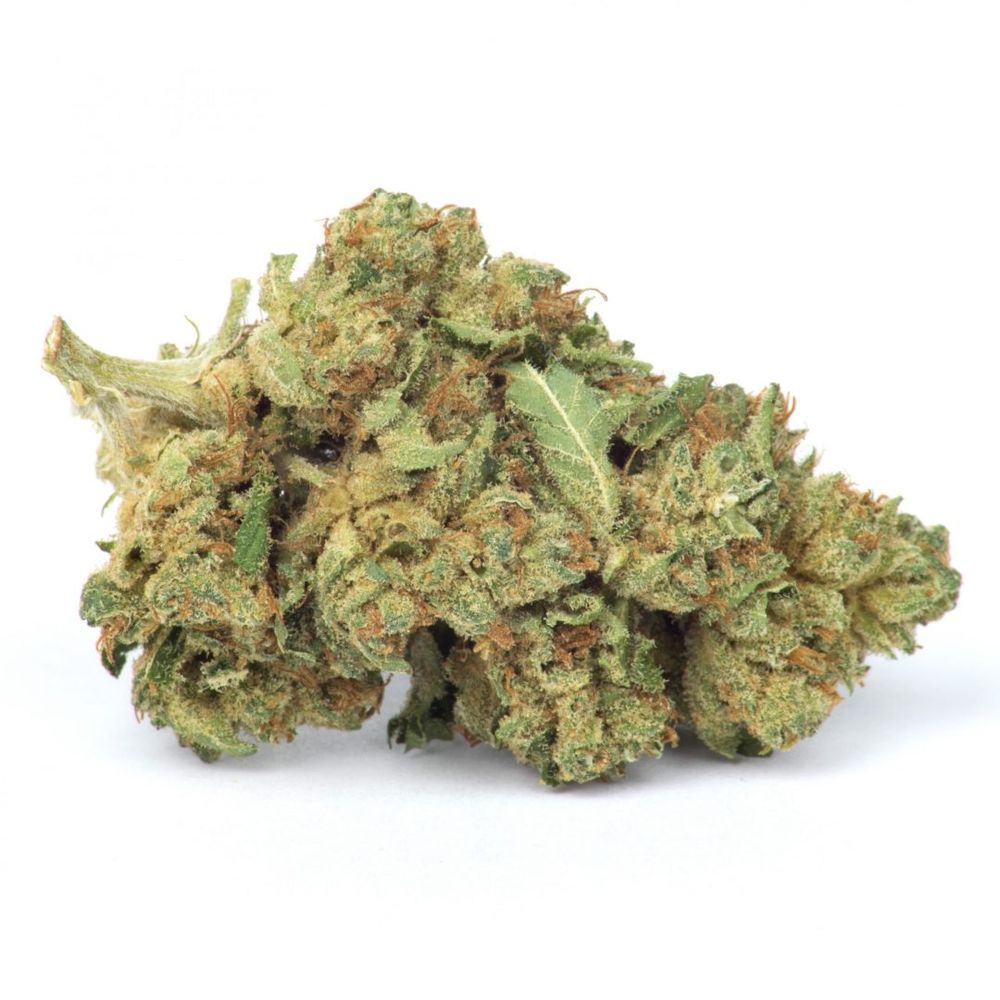 Buy Ace of Haze Weed in Europe