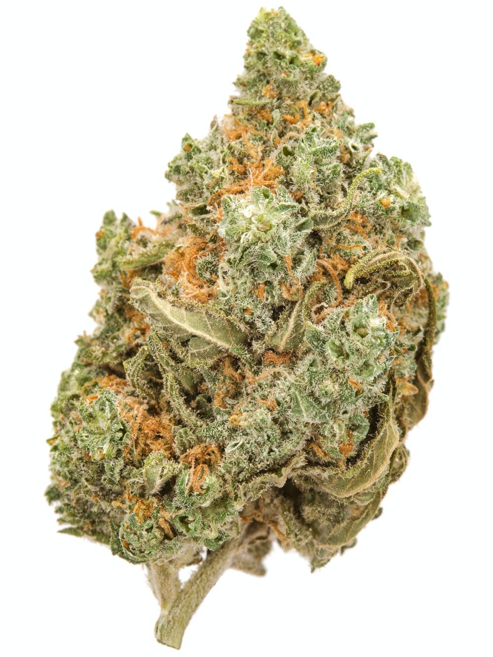 Buy Amnesia Haze Weed in Europe