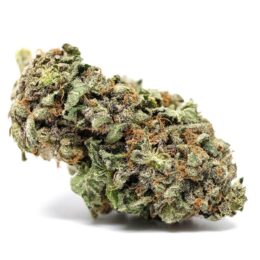 buy-apple-gelato-weed-in-europe