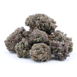 black-widow-weed-strain