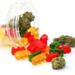 flavored-gummy-bears-pack-300mg-5-x-60mg