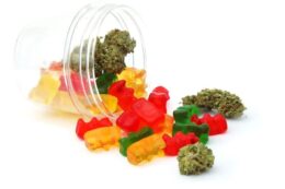 flavored-gummy-bears-pack-300mg-5-x-60mg