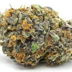 mimosa-cannabis-strain