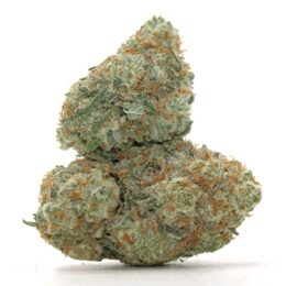 platinum-cookies-weed-strain