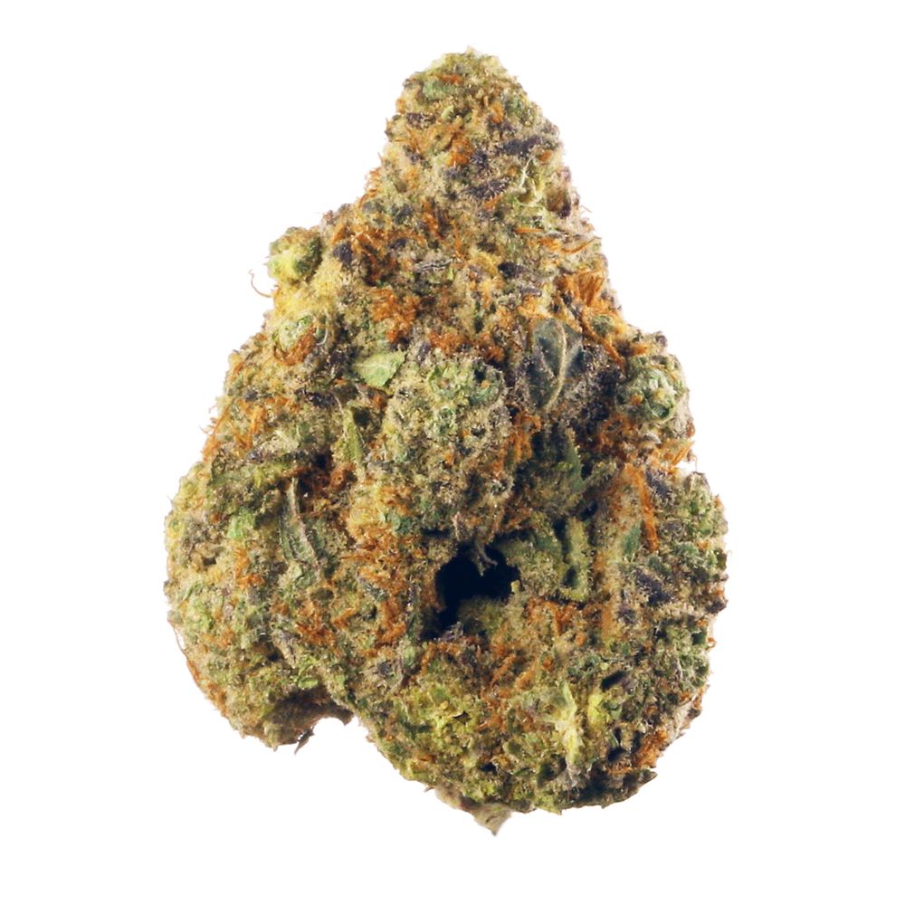 Stardawg OG Marijuana Strain