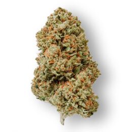 super-silver-haze-weed-strain