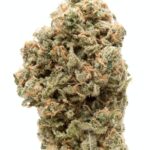 tropicana-banana-weed-strain