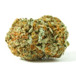 yellow-zushi-weed-strain